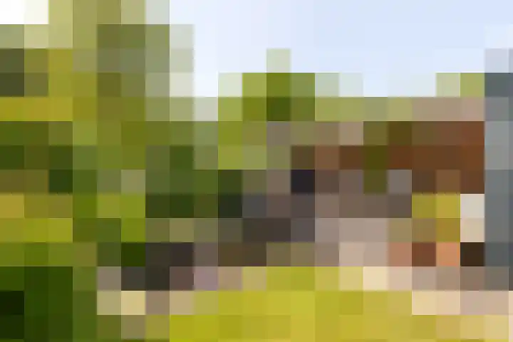 Dorpsstraat 28 Gapinge thumbnail 5