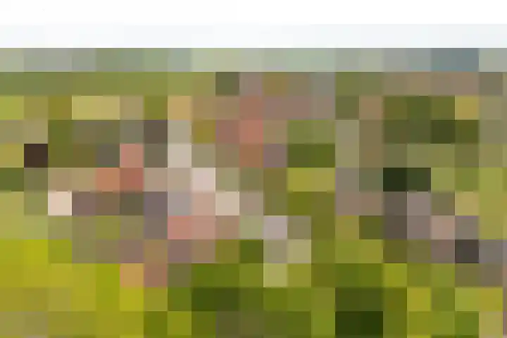 Dorpsstraat 28 Gapinge thumbnail 6