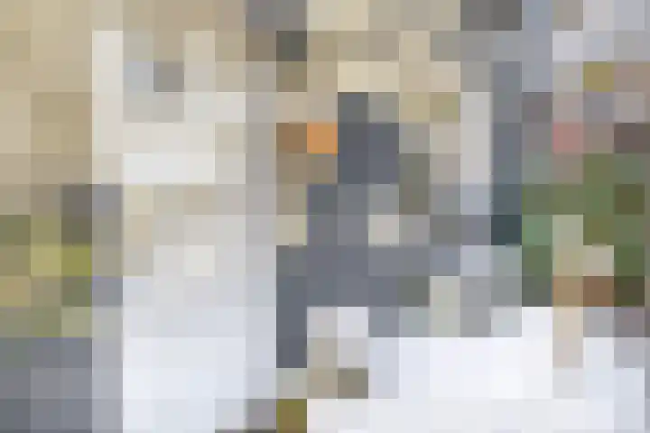 Dorpsstraat 28 Krimpen aan de Lek thumbnail 14