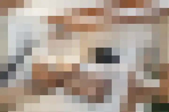Dorpsstraat 28 Krimpen aan de Lek thumbnail 16