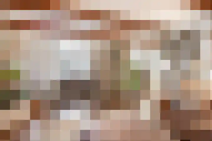 Dorpsstraat 28 Krimpen aan de Lek thumbnail 17