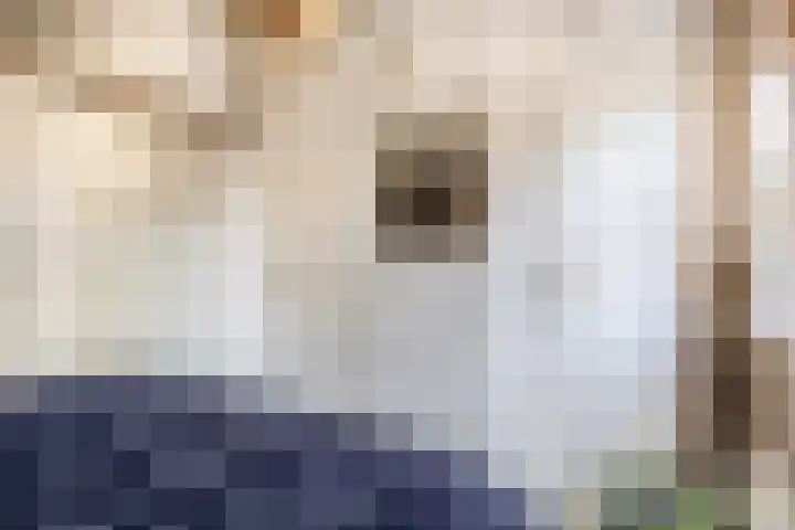 Dorpsstraat 28 Krimpen aan de Lek thumbnail 31