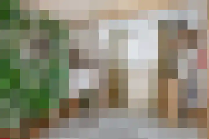 Dorpsstraat 28 Krimpen aan de Lek thumbnail 33