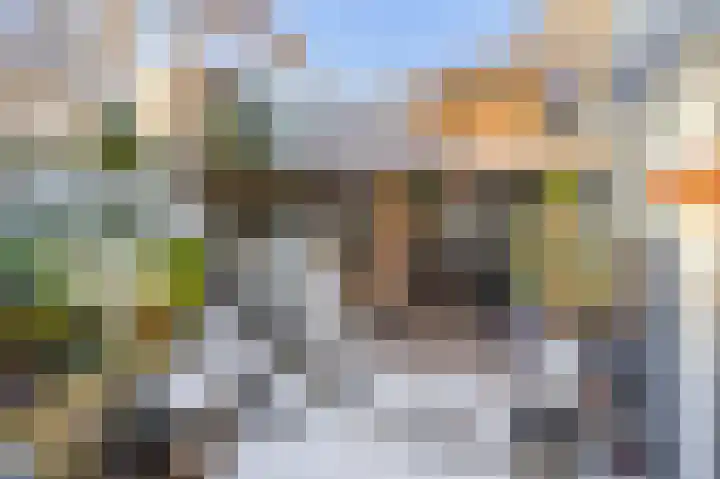 Dorpsstraat 28 Krimpen aan de Lek thumbnail 5