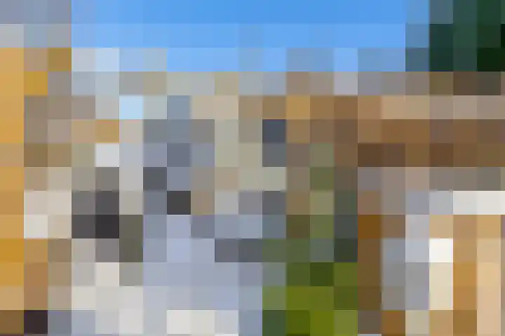 Dorpsstraat 28 Krimpen aan de Lek thumbnail 7