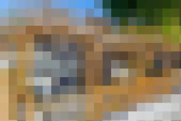Dorpsstraat 28 Krimpen aan de Lek thumbnail 8