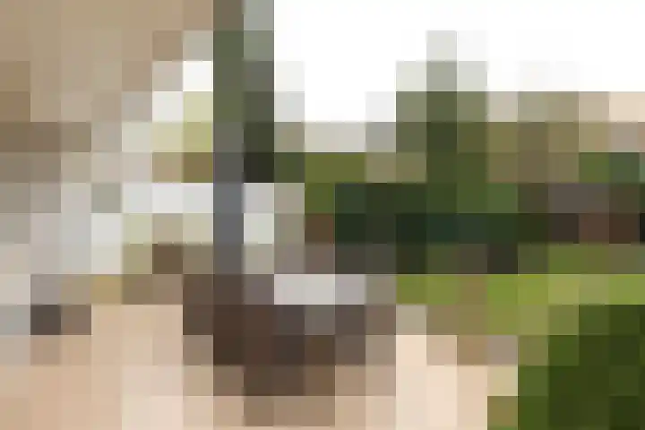 Dorpsstraat 28 Lage Vuursche thumbnail 22