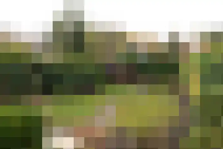 Dorpsstraat 28 Lage Vuursche thumbnail 23