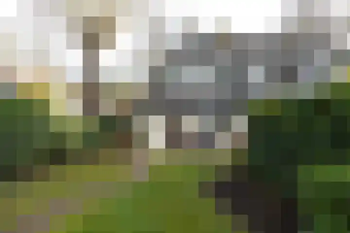 Dorpsstraat 28 Lage Vuursche thumbnail 25