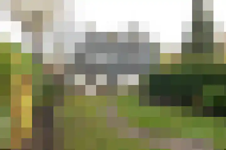 Dorpsstraat 28 Lage Vuursche thumbnail 26