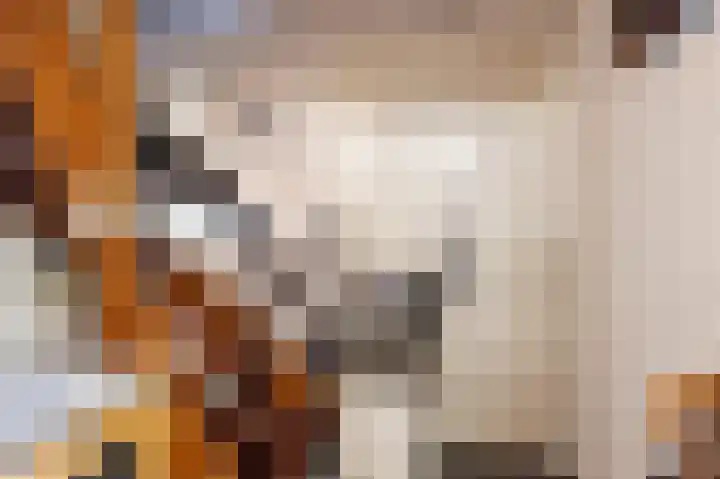 Dorpsstraat 28 Meteren thumbnail 6