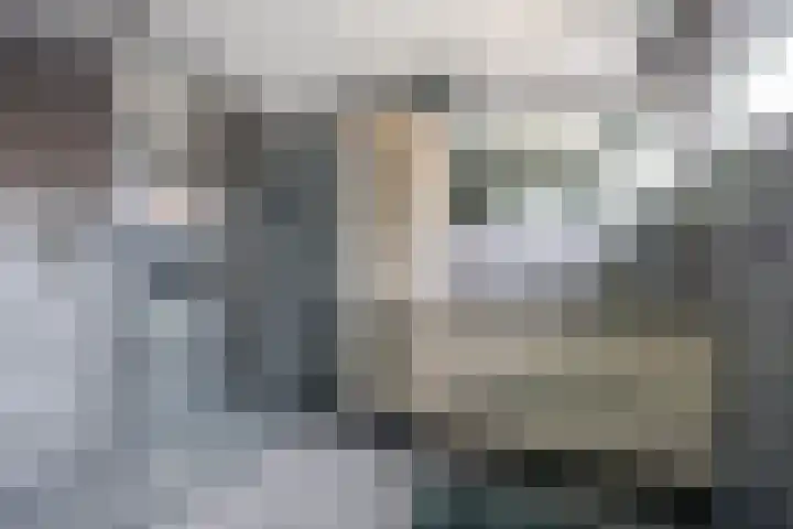 Dorpsstraat 28 St. Willebrord thumbnail 18