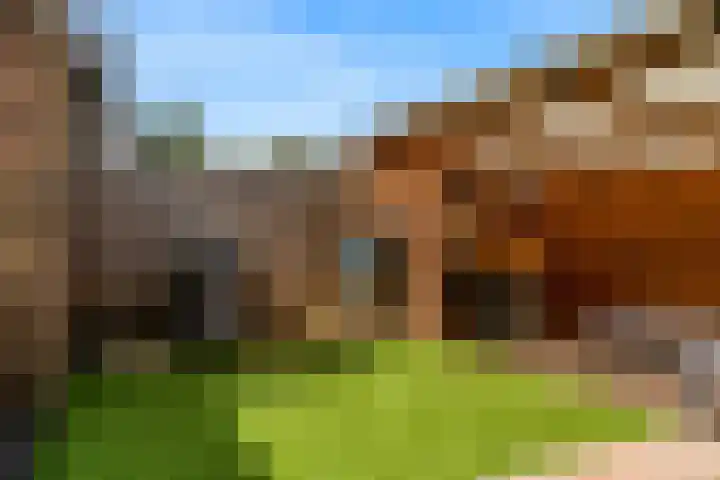 Dorpsstraat 28 Zegveld thumbnail 29