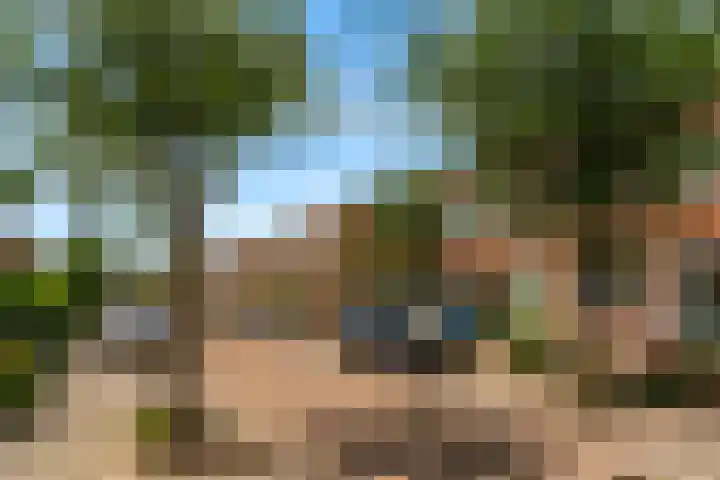 Dorpsstraat 28 Zegveld thumbnail 37