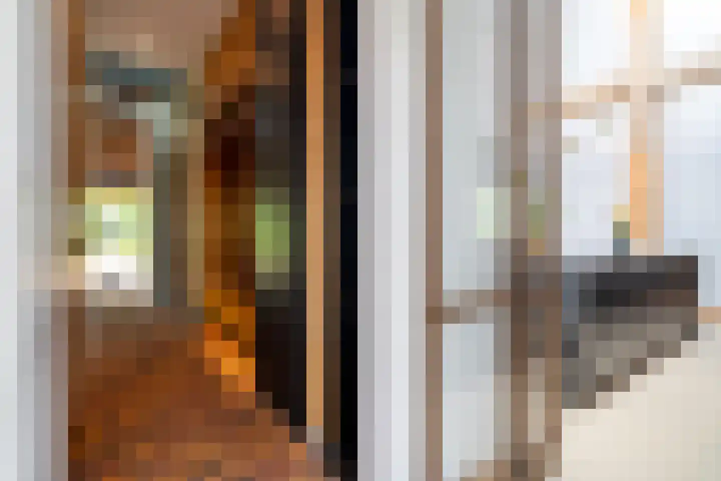 Dorpsstraat 28 Zuidlaarderveen thumbnail 10