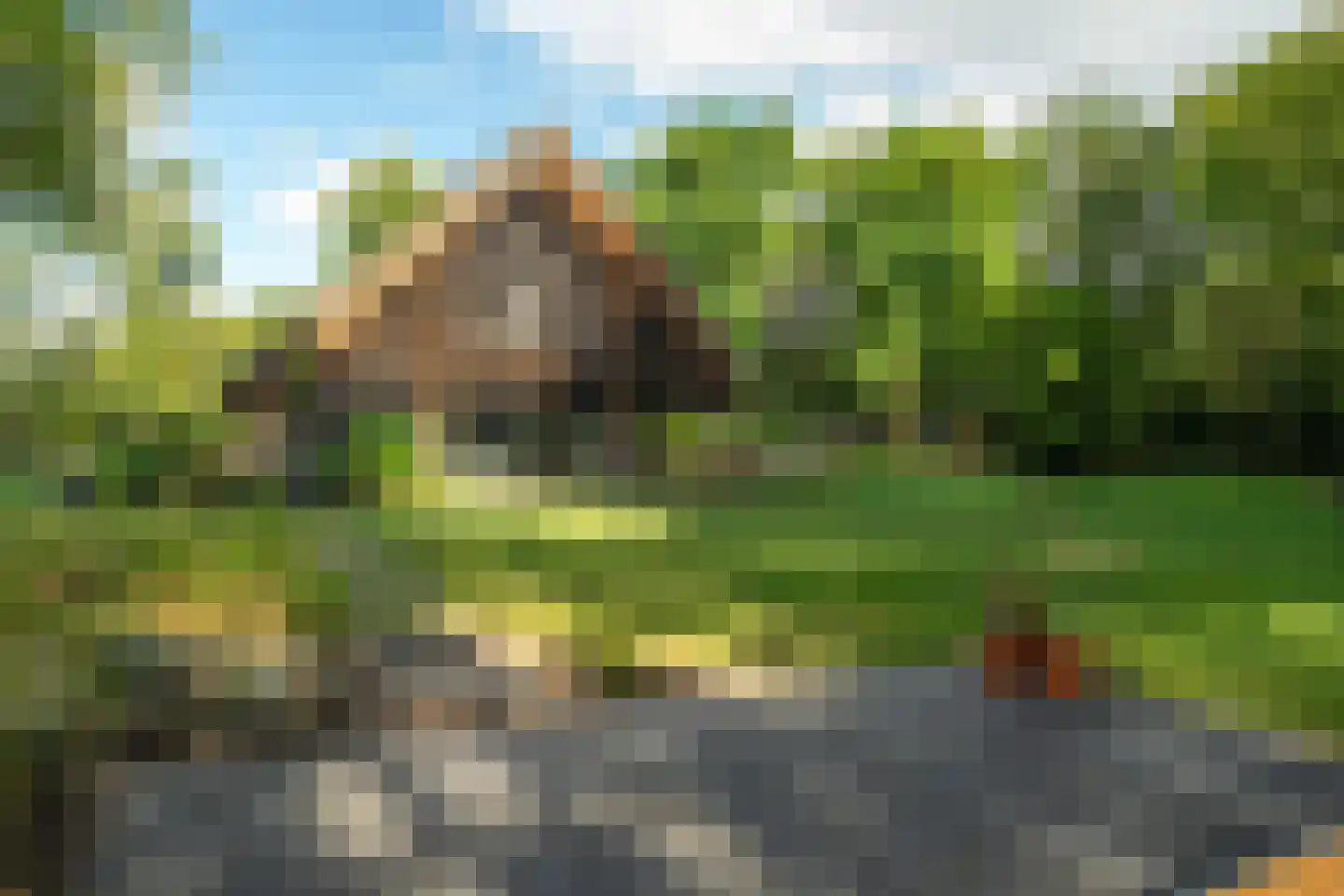 Dorpsstraat 28 Zuidlaarderveen thumbnail 103