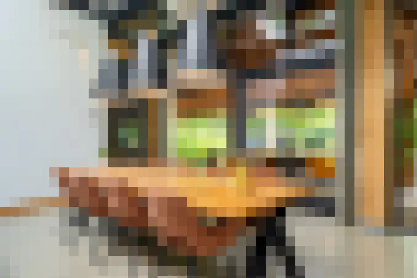 Dorpsstraat 28 Zuidlaarderveen thumbnail 13