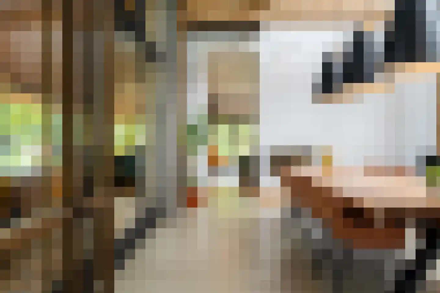 Dorpsstraat 28 Zuidlaarderveen thumbnail 31