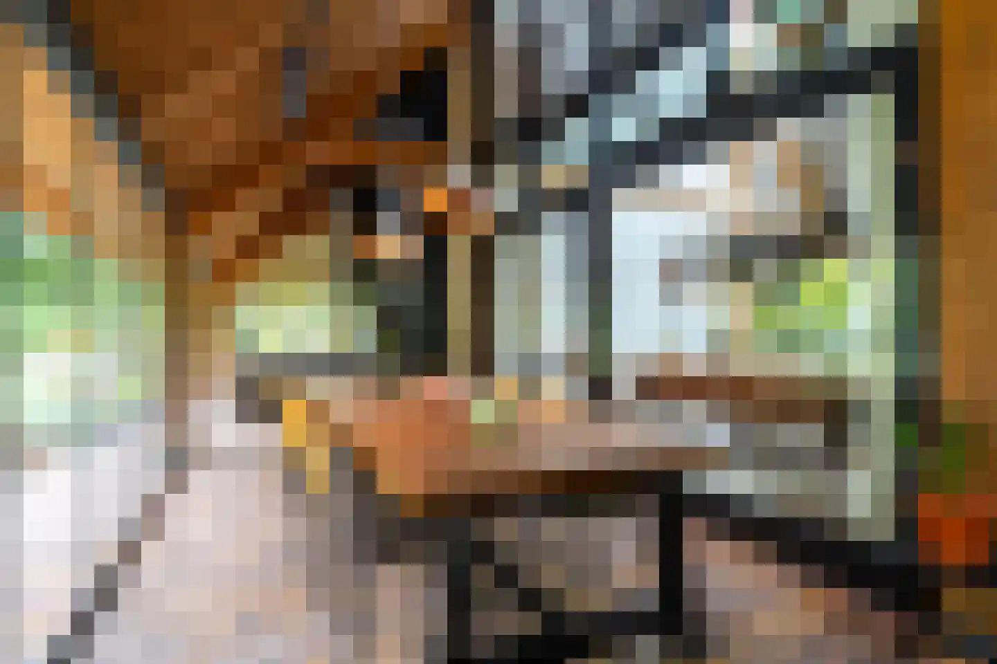 Dorpsstraat 28 Zuidlaarderveen thumbnail 42