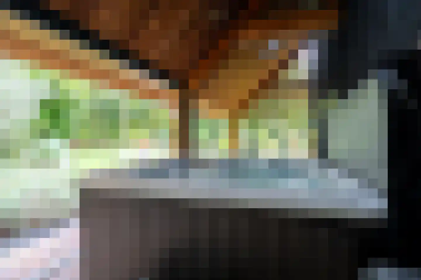 Dorpsstraat 28 Zuidlaarderveen thumbnail 43