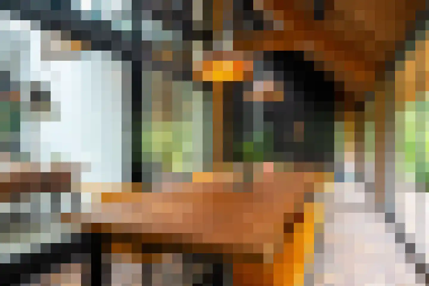 Dorpsstraat 28 Zuidlaarderveen thumbnail 45