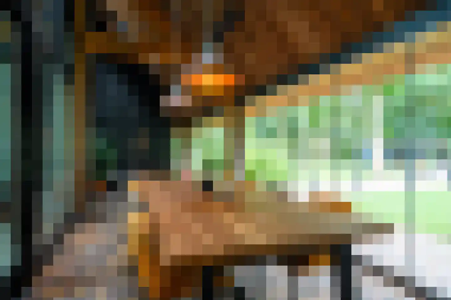 Dorpsstraat 28 Zuidlaarderveen thumbnail 46