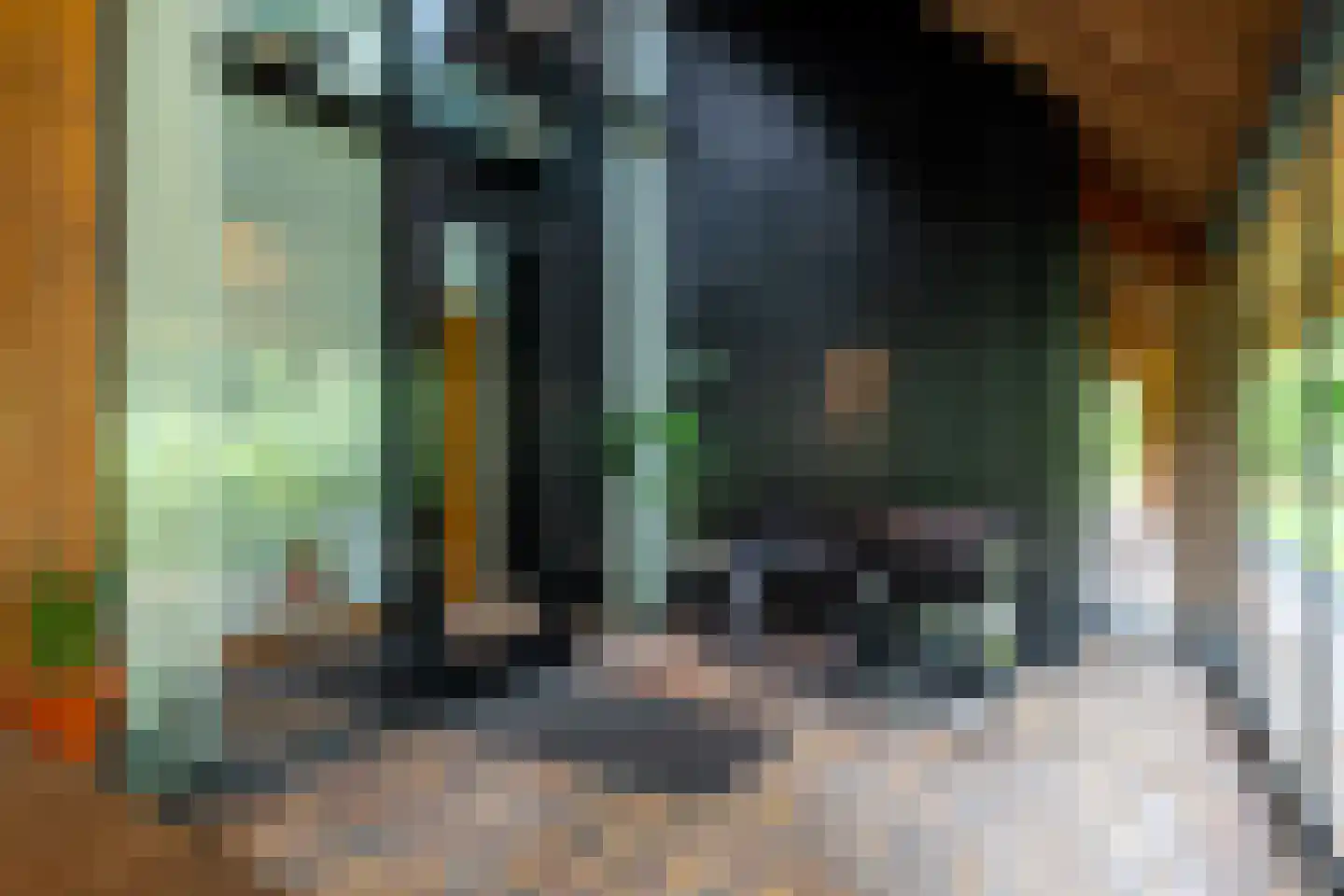 Dorpsstraat 28 Zuidlaarderveen thumbnail 47