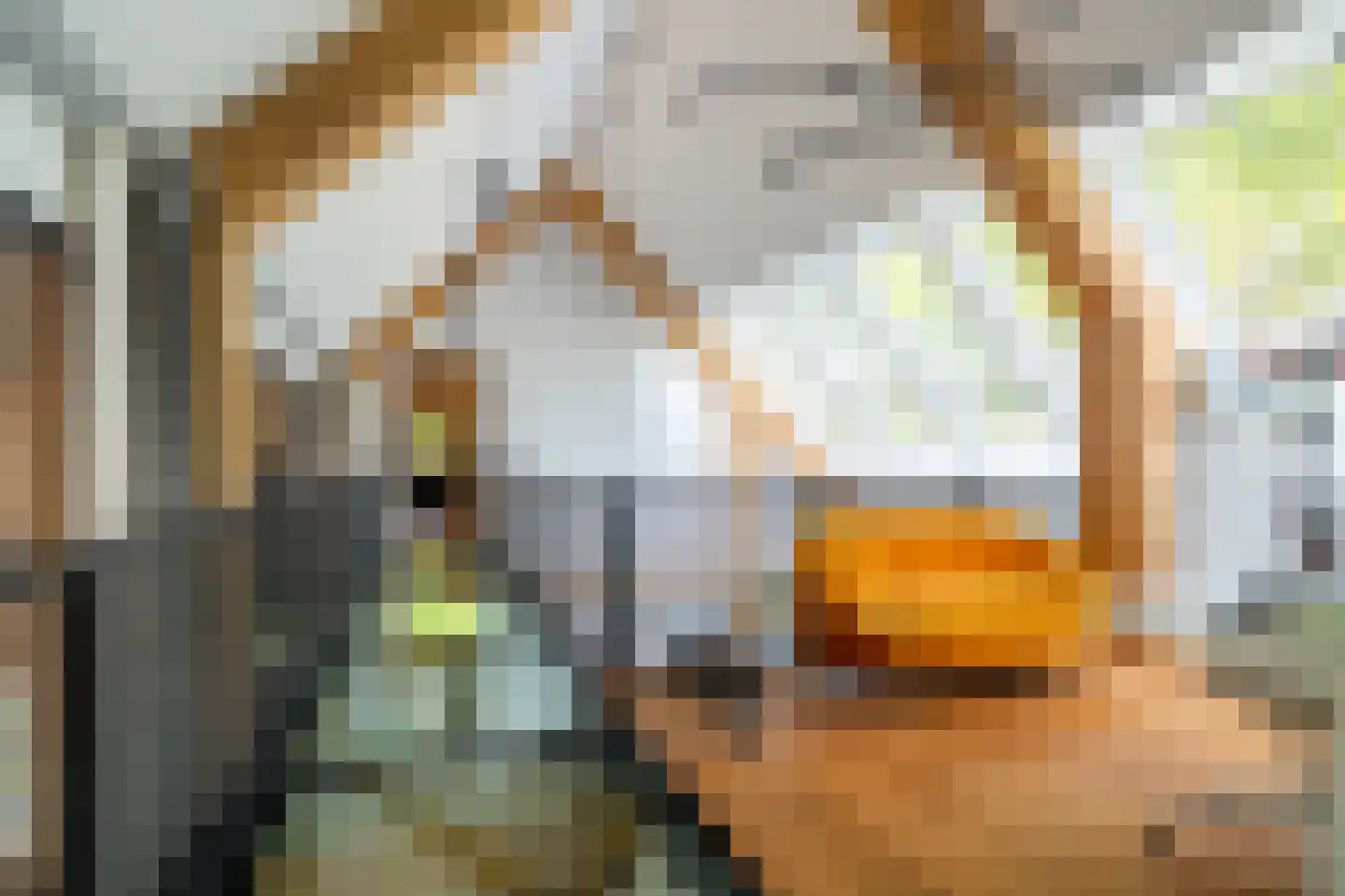 Dorpsstraat 28 Zuidlaarderveen thumbnail 64