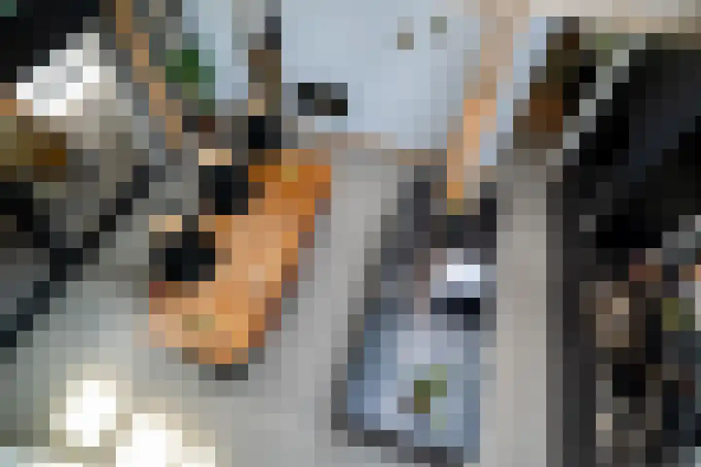 Dorpsstraat 28 Zuidlaarderveen thumbnail 67