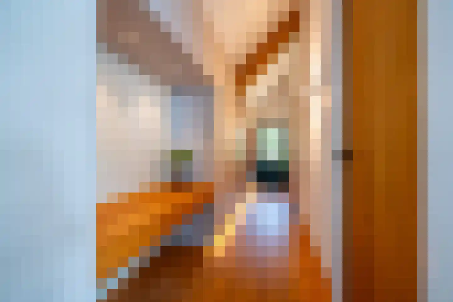 Dorpsstraat 28 Zuidlaarderveen thumbnail 73