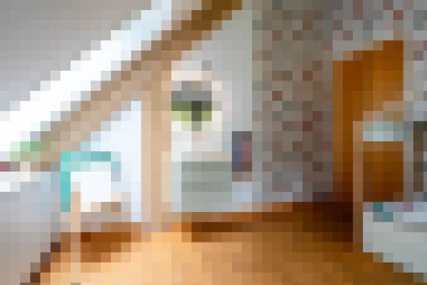 Dorpsstraat 28 Zuidlaarderveen thumbnail 81