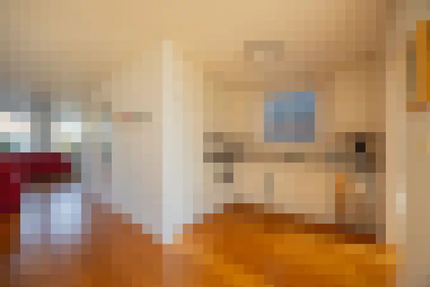 Dorpsstraat 280 Wormer thumbnail 10