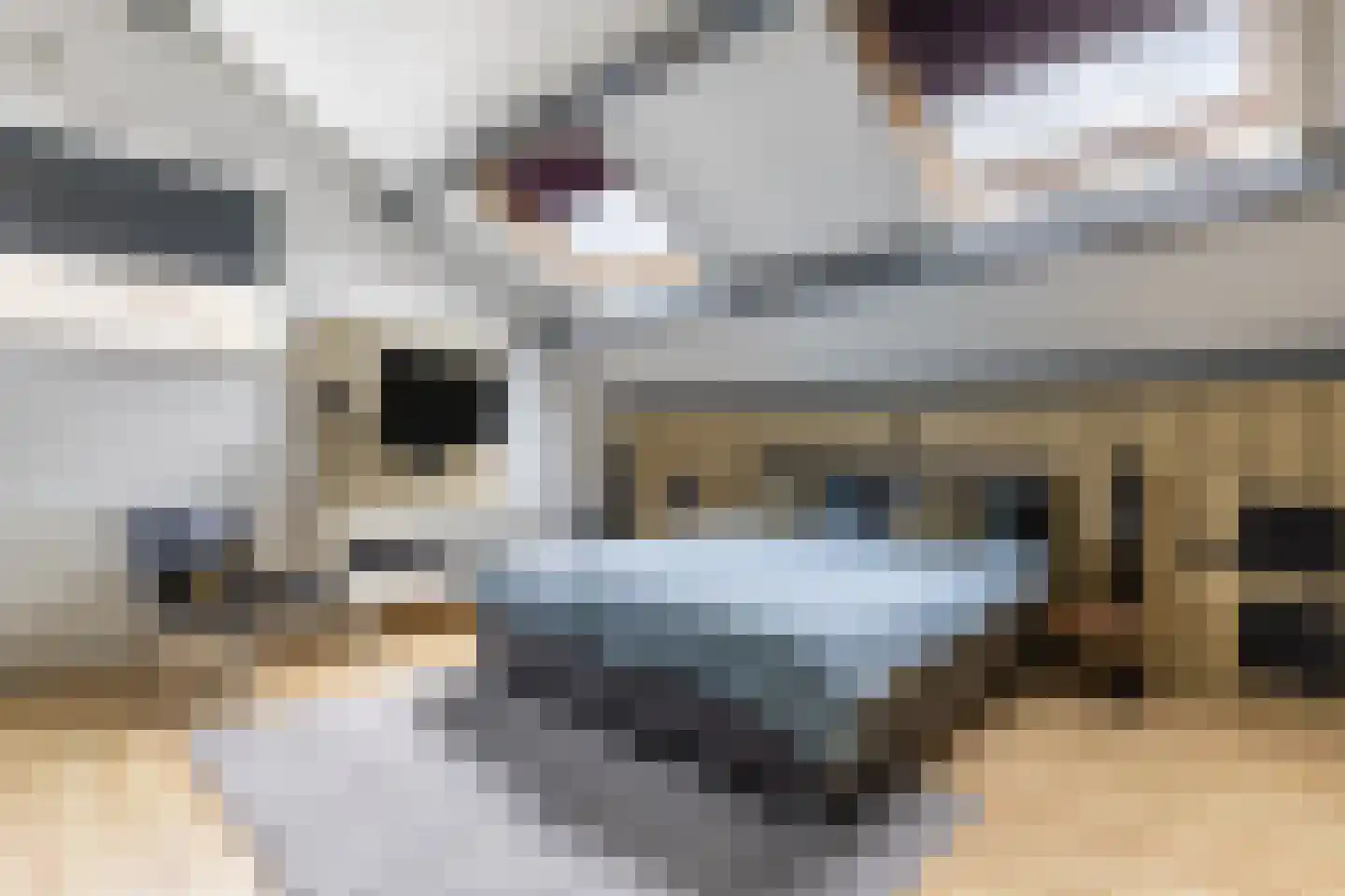 Dorpsstraat 281 C Wormer thumbnail 25