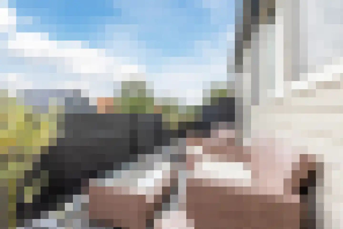 Dorpsstraat 281 C Wormer thumbnail 40
