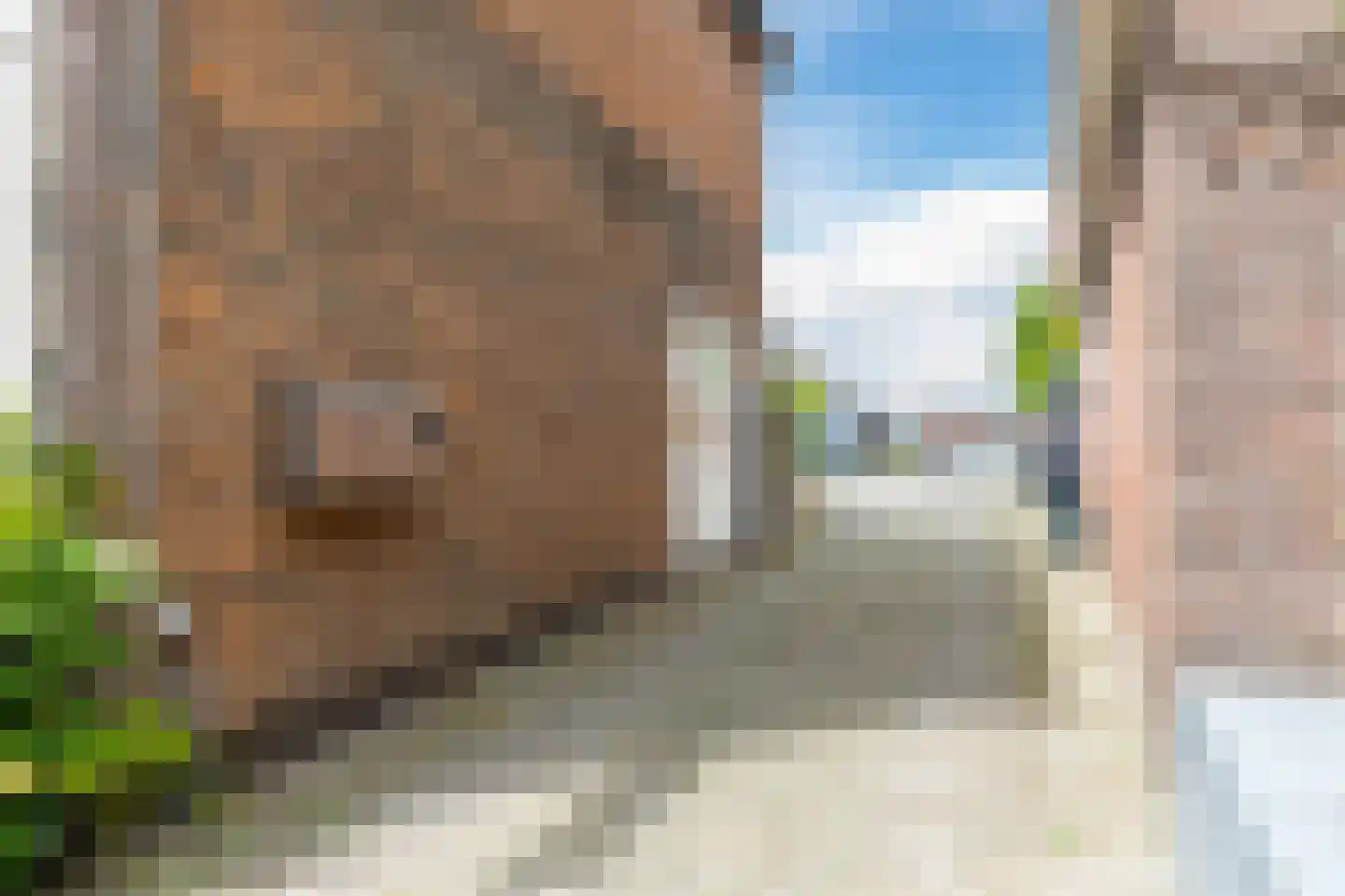 Dorpsstraat 281 C Wormer thumbnail 54