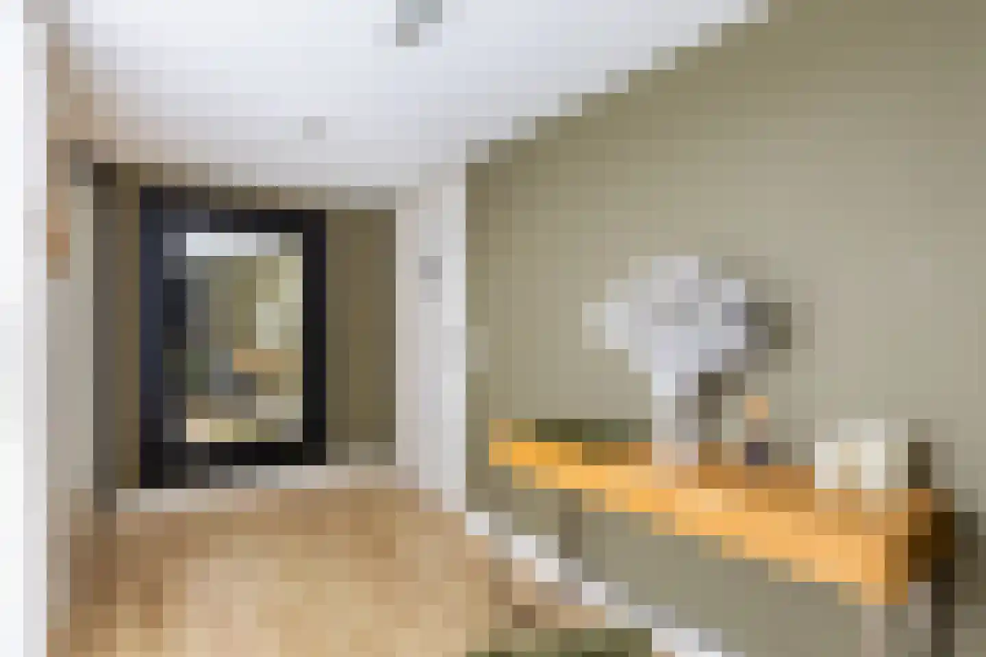 Dorpsstraat 281 C Wormer thumbnail 6
