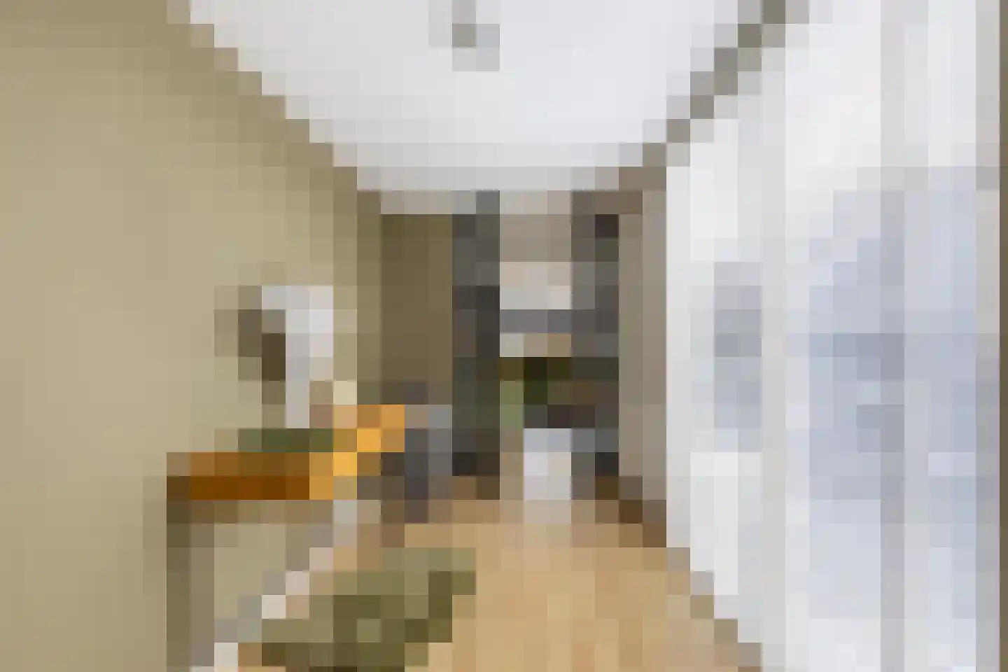 Dorpsstraat 281 C Wormer thumbnail 8