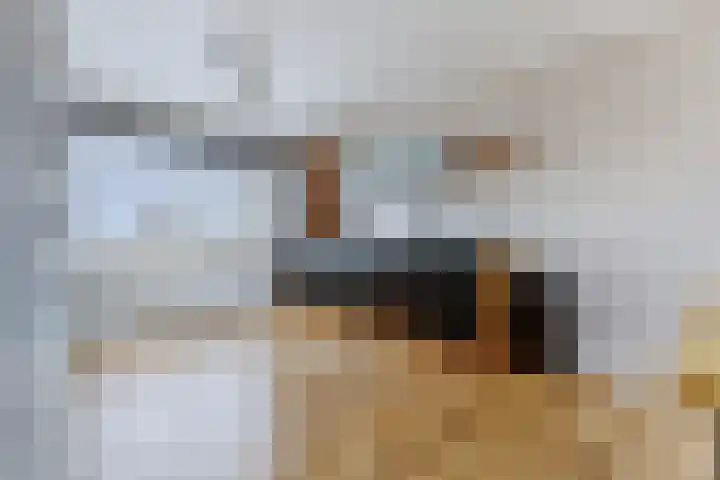 Dorpsstraat 281 D Wormer thumbnail 13