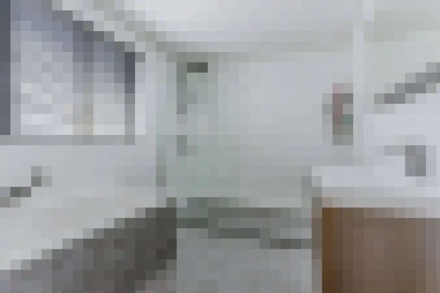 Dorpsstraat 281 D Wormer thumbnail 19