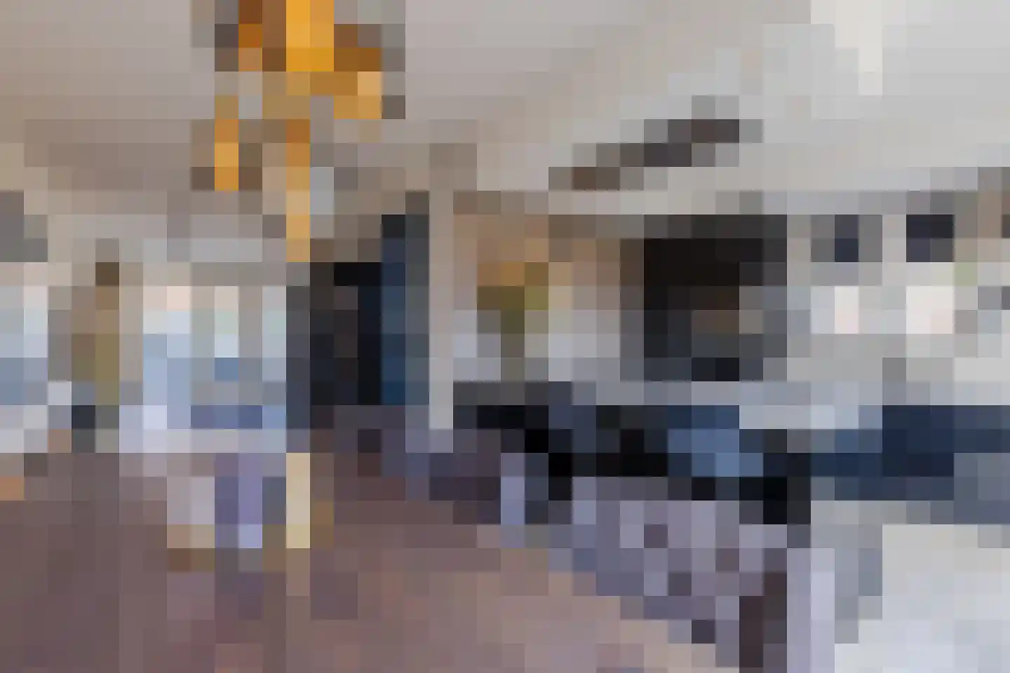 Dorpsstraat 288 C Assendelft thumbnail 13