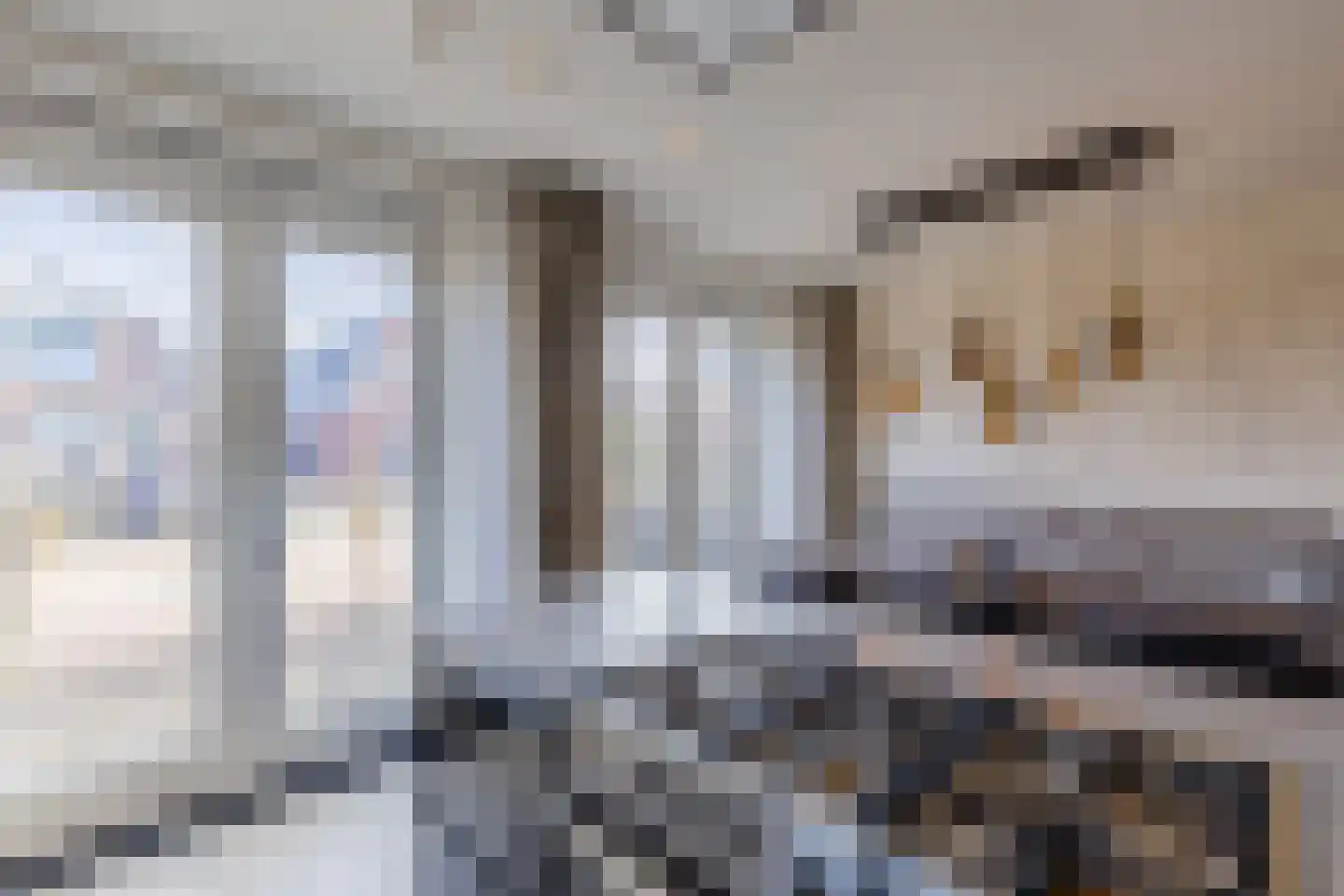 Dorpsstraat 288 C Assendelft thumbnail 13