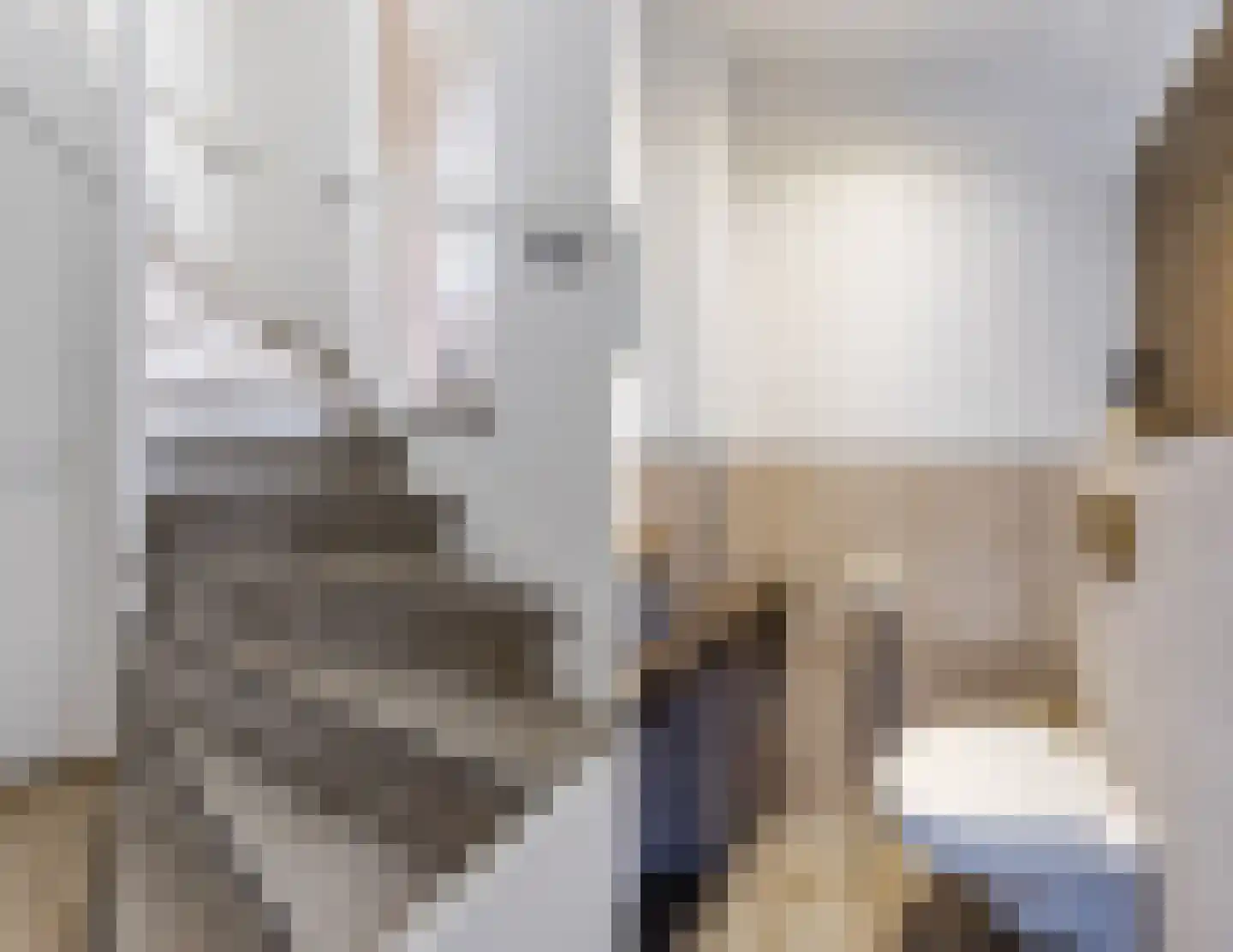 Dorpsstraat 288 C Assendelft thumbnail 14