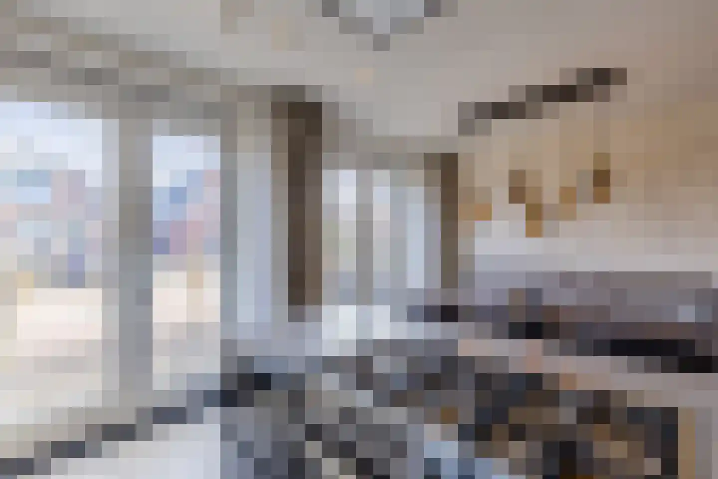 Dorpsstraat 288 C Assendelft thumbnail 16