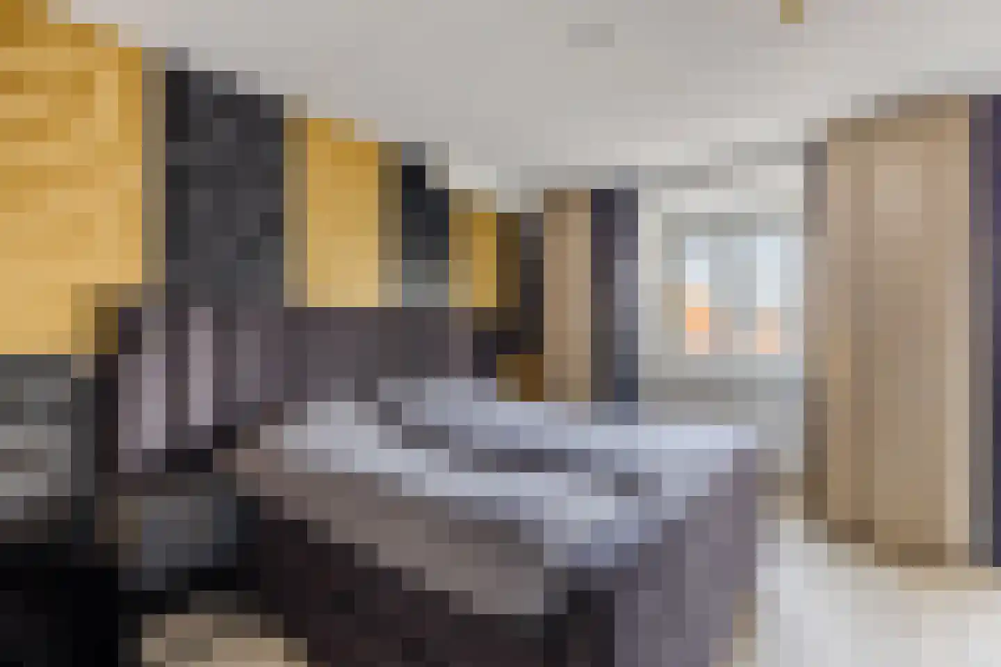 Dorpsstraat 288 C Assendelft thumbnail 19