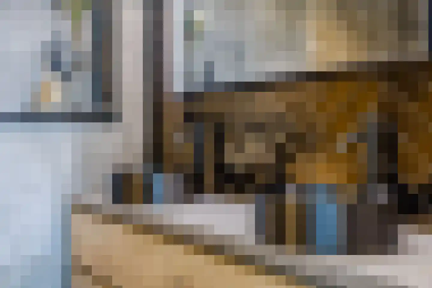 Dorpsstraat 288 C Assendelft thumbnail 22