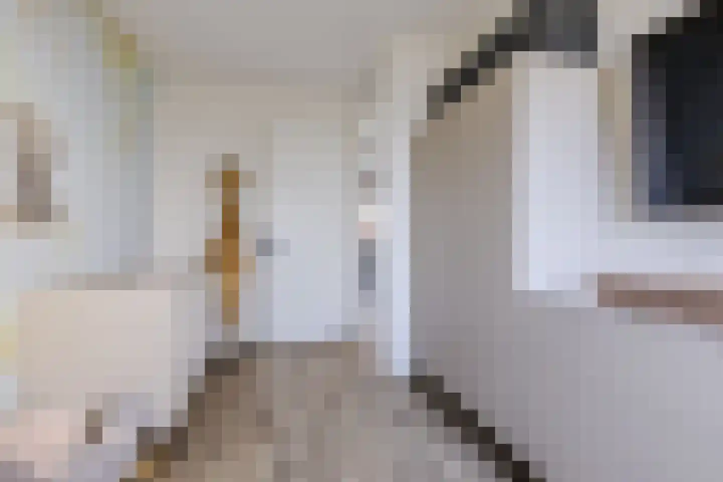 Dorpsstraat 288 C Assendelft thumbnail 24