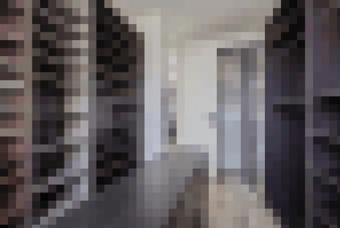 Dorpsstraat 288 C Assendelft thumbnail 25