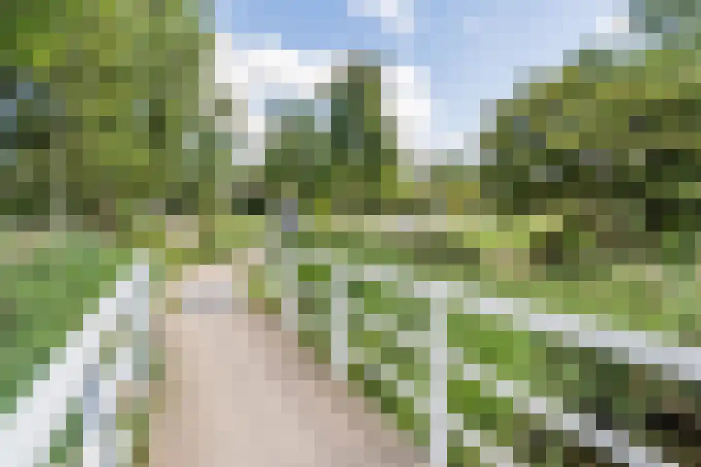 Dorpsstraat 288 C Assendelft thumbnail 41