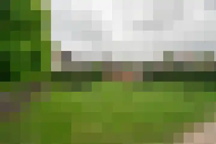 Dorpsstraat 29 A Oene thumbnail 41
