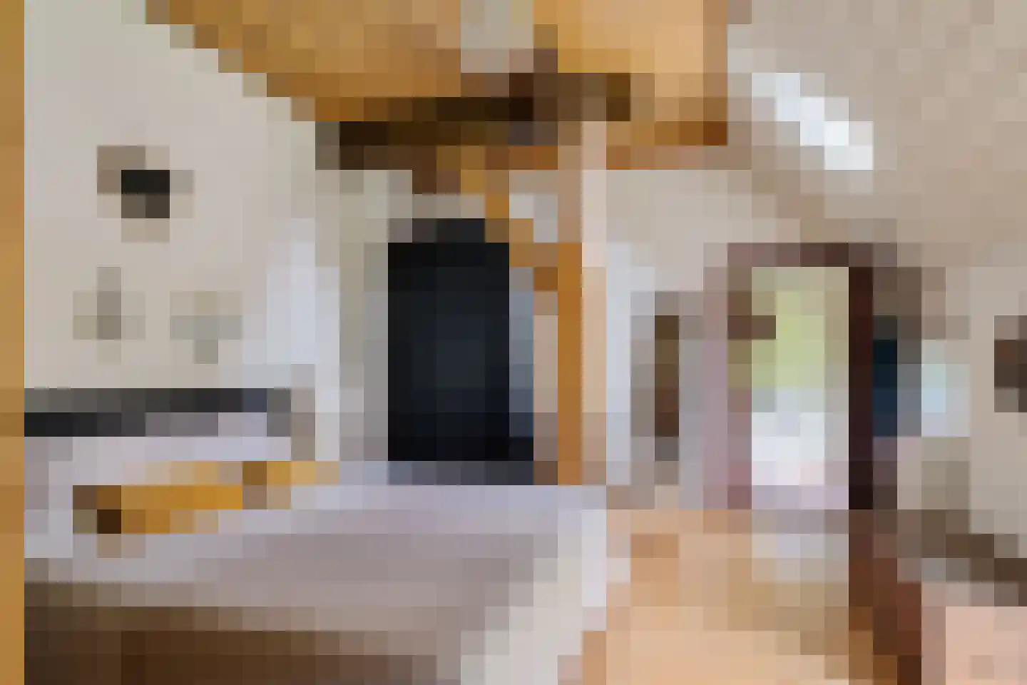 Dorpsstraat 29 Gees thumbnail 38